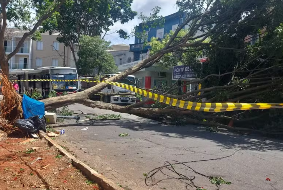 受强风影响 巴西超110万用户停电 